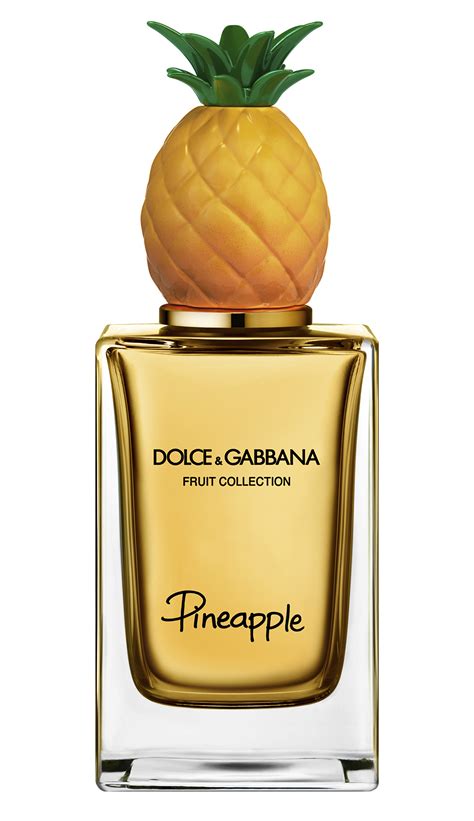 parfums dolce gabbana|dolce and gabbana unisex fragrance.